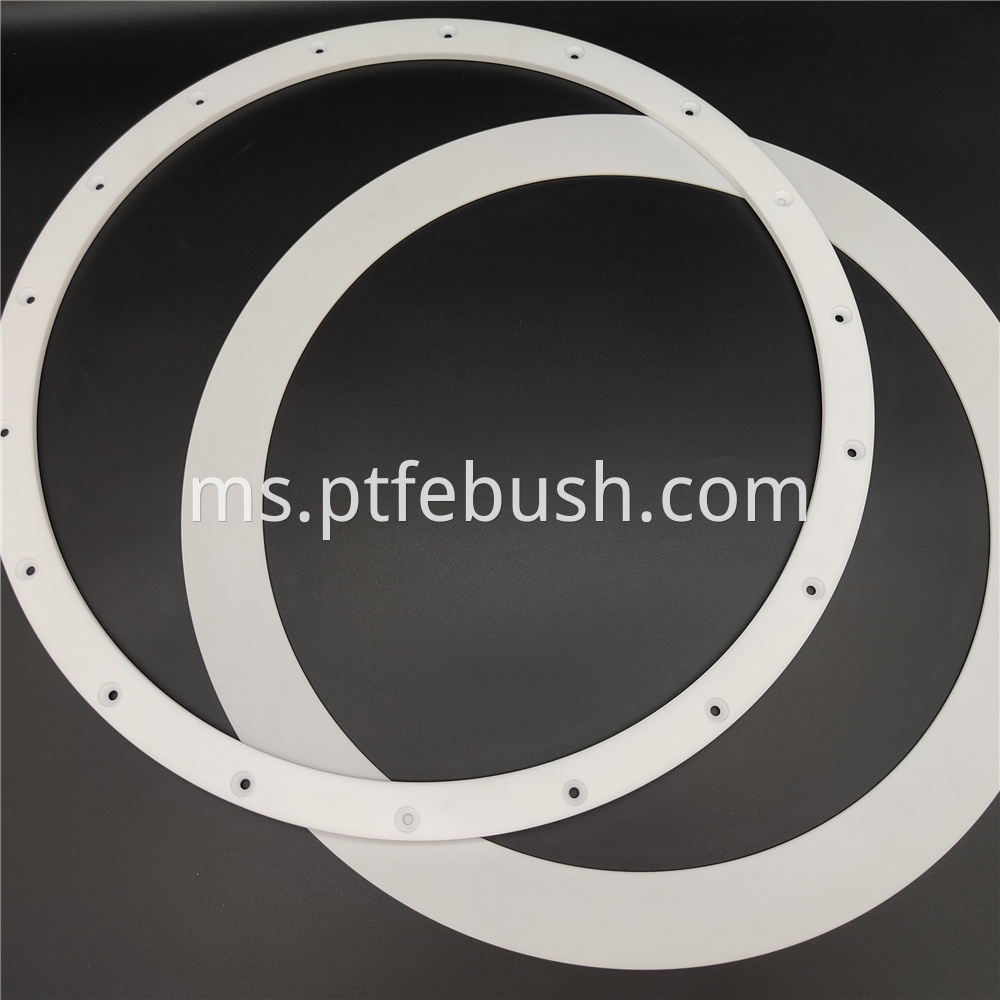 Large Gasket47